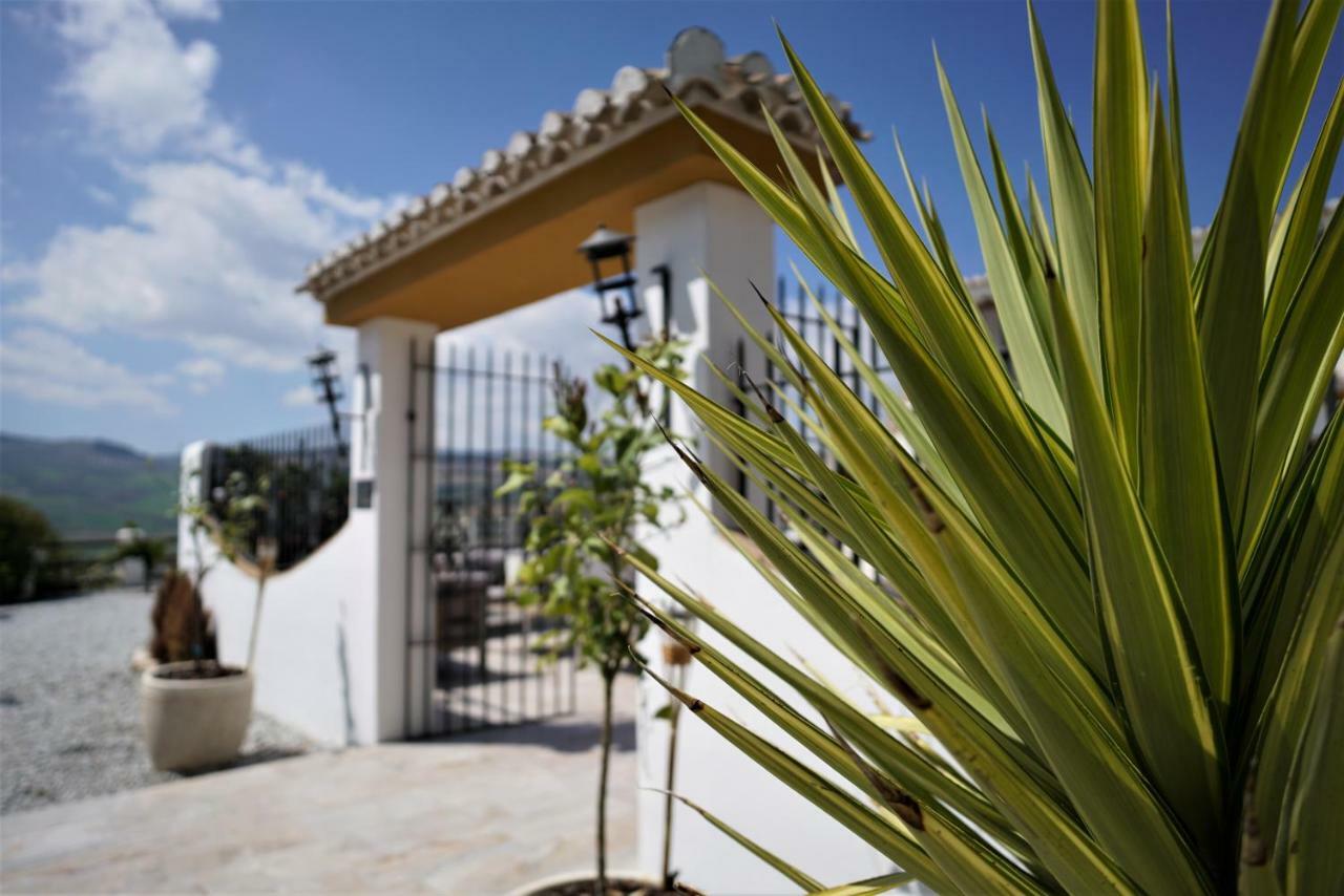 El Amparo Bed & Breakfast Alhama de Granada Luaran gambar